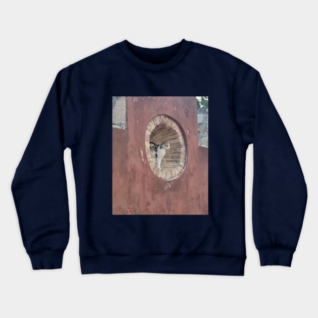 Meditative Corfu Cat: Window View Photography Crewneck Sweatshirt by HFGJewels